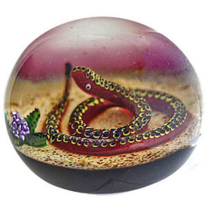 Schlange Magnum Paperweight von sen-William Manson