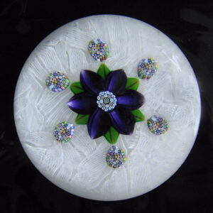 Lila Blume auf Lace von Peter McDougall