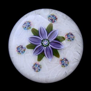 Lila Blume auf Lace von Peter McDougall