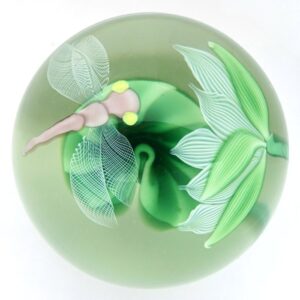 Libelle von Flume Orient