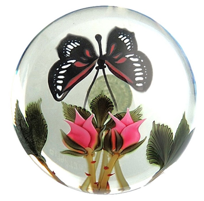 Rose und Schmetterling von Flume Orient