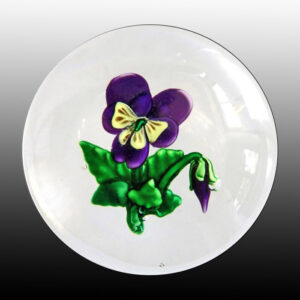 Pansy
