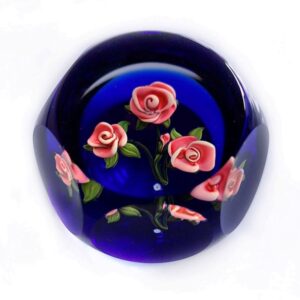 Rosa Rosen Miniatur von Johne Parsley