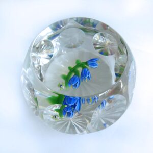 Glockenblumen Bluebell