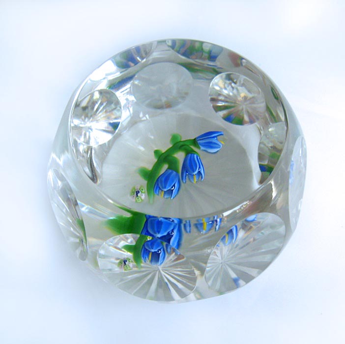 Glockenblumen Bluebell