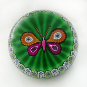 Schmetterling