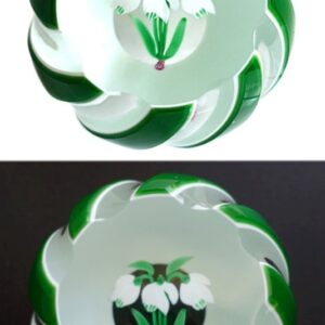 Schneegloeckchen