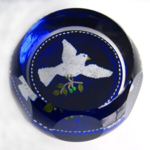 Weisse Taube Dove