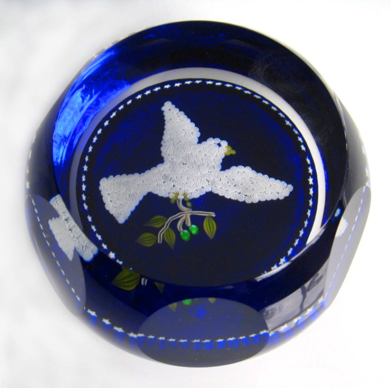 Weisse Taube Dove
