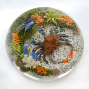 Touchstone Glass Blaue Krabbe von Cathy Richardson