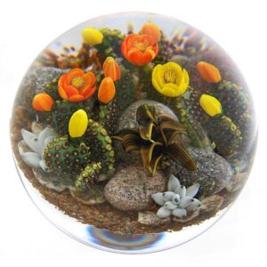 Touchstone Glass Bluehende Kakteen Beavertail Cacti von Cathy Richardson
