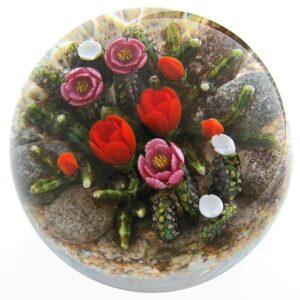 Touchstone Glass Bluehende Kakteen Prickly Pear Cacti von Cathy Richardson