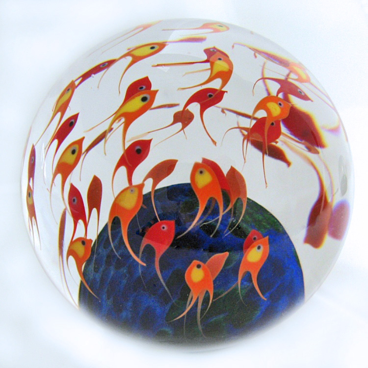 Touchstone Glass Fischschwarm orange Magnum von Cathy Richardson