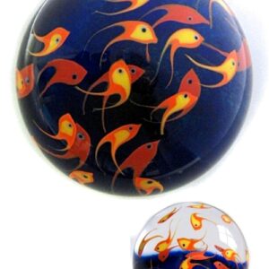 Touchstone Glass Fischschwarm orange von Cathy Richardson