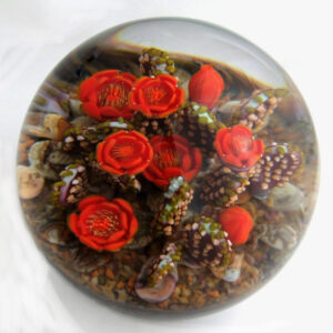 Touchstone Glass Kakteen Sunset Prickly Pear Cactus von Cathy Richardson