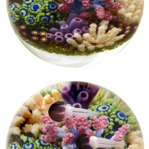 Touchstone Glass Korallengarten von Cathy Richardson