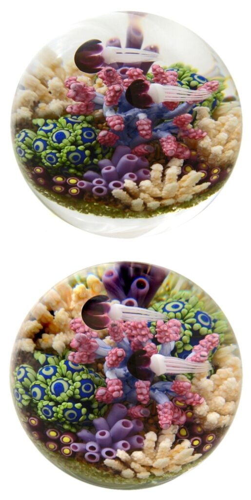 Touchstone Glass Korallengarten von Cathy Richardson
