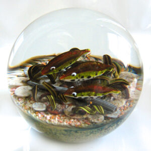 Touchstone Glass Lachse im Fluss von Cathy Richardson