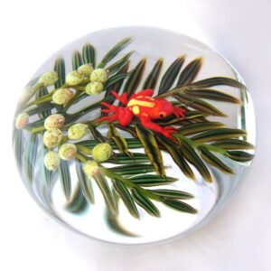 Touchstone Glass Orangefarbener Pfeilgiftfrosch von Cathy Richardson