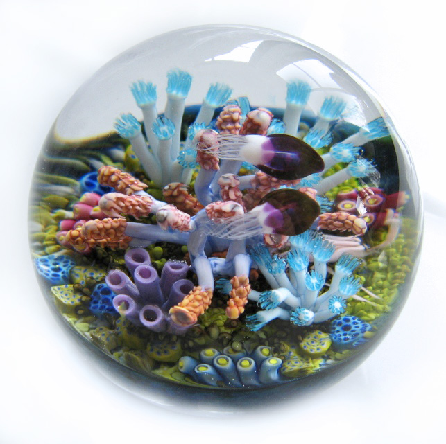 Touchstone Glass Quallen und Korallen von Cathy Richardson