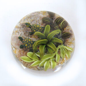 Touchstone Glass Schildkroeten Miniatur von Cathy Richardson