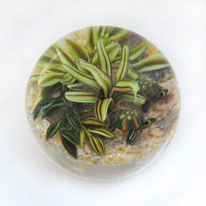 Touchstone Glass Schildkroeten Miniatur von Cathy Richardson