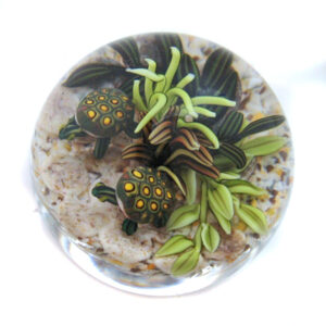 Touchstone Glass Schildkroeten Miniatur von Cathy Richardson