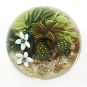 Touchstone Glass Schildkroeten Miniatur von Cathy Richardson