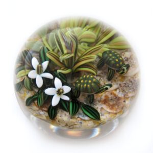Touchstone Glass Schildkroeten Miniatur von Cathy Richardson