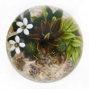 Touchstone Glass Schildkroeten Miniatur von Cathy Richardson