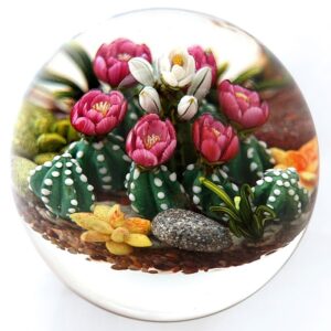 Touchstone Glass Steingarten mit Kakteen von Cathy Richardson