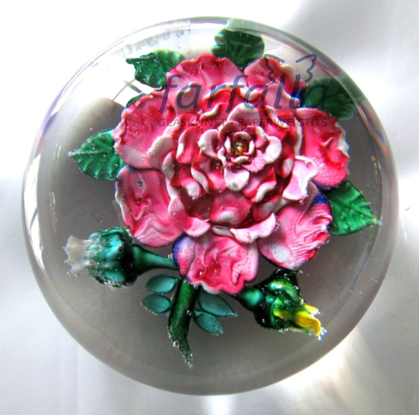 von mit-Knospen Rose