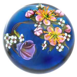 Ackerwinde Convolvulus von Ken Rosenfeld
