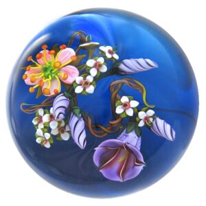 Ackerwinde Convolvulus von Ken Rosenfeld