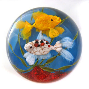 Aquarium von Ken Rosenfeld
