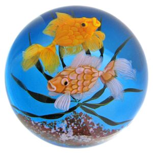 Aquarium von Ken Rosenfeld