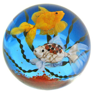 Aquarium von Ken Rosenfeld