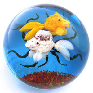 Aquarium von Ken Rosenfeld