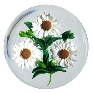 Daisies von Ken Rosenfeld