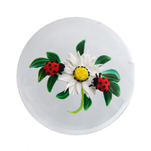 Daisy mit Marienkaefern Miniatur von Ken Rosenfeld