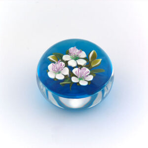 Posy weisse Blueten von Ken Rosenfeld