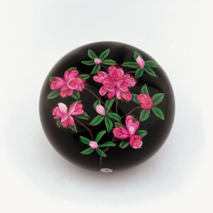 Rhododendron von Ken Rosenfeld