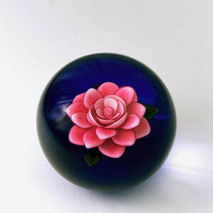 Rose quot Belle Amour quot von Ken Rosenfeld