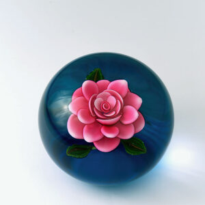 Rose quot Belle Amour quot von Ken Rosenfeld
