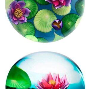 Fleurs de lotus Lotus Flowers von Louis Saint