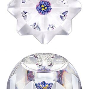 Ipomea von Louis Saint