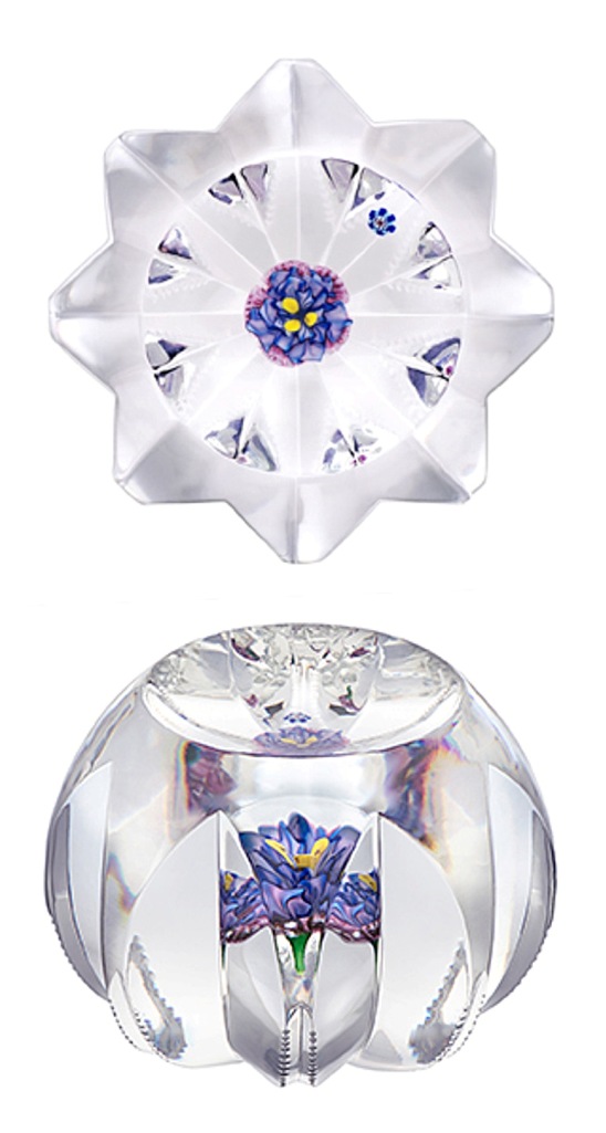 Ipomea von Louis Saint