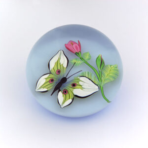 Schmetterling von Louis Saint