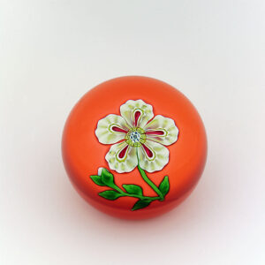 Weisse Blume von Louis Saint