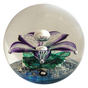 Peter Holmes Starflower von Glass Selkirk